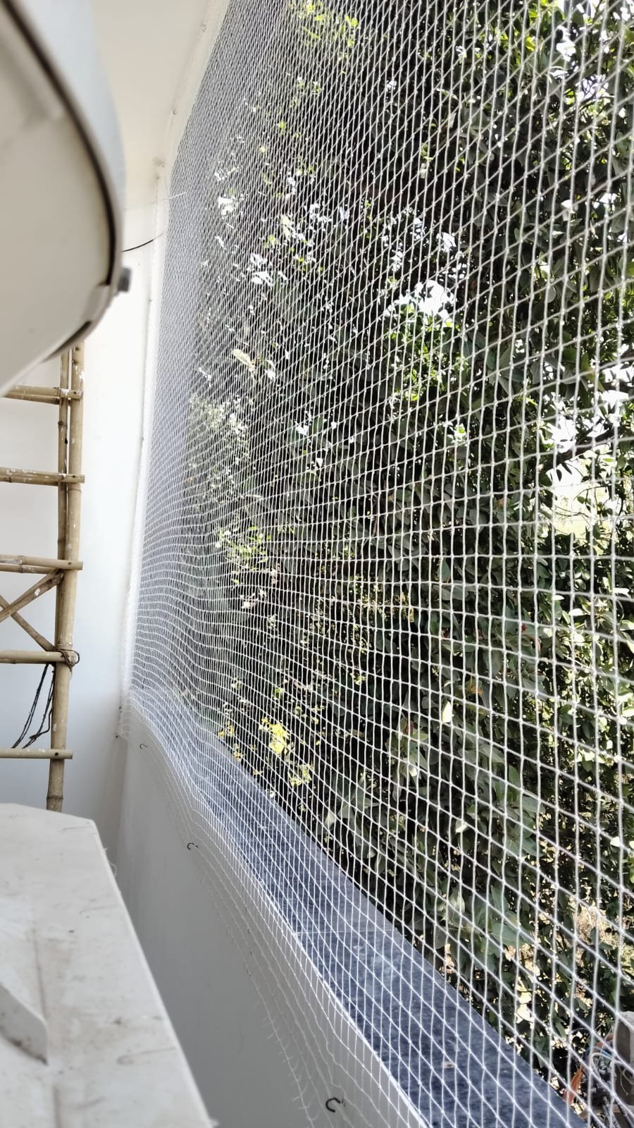 Bird Netting service photo