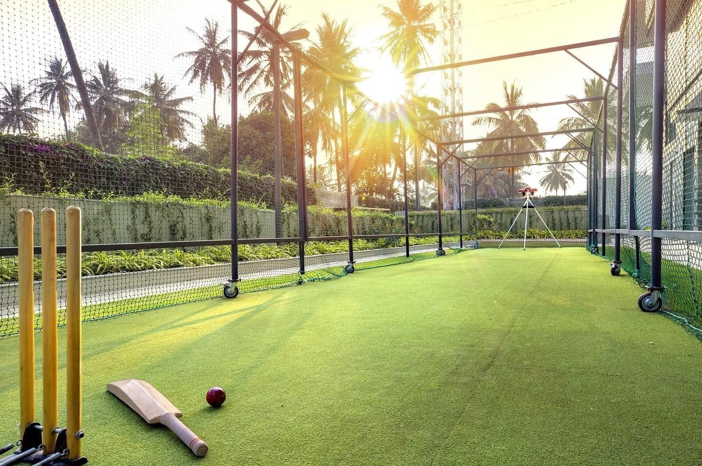 Cricket practice pitch protected by a perimeter net