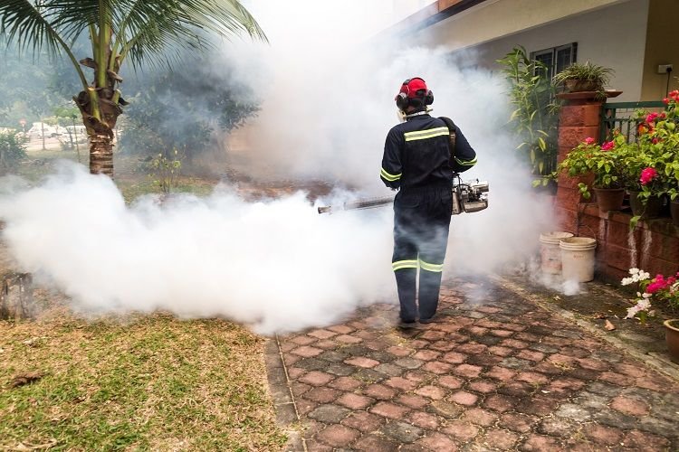 Outdoor mosquito control treatment