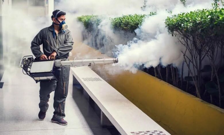 Bee Control service photo