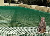 Outdoor sports practice area protected with netting