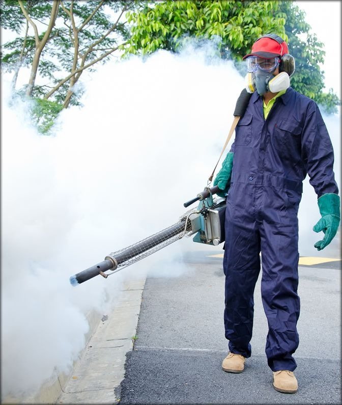 Mosquito Control service photo